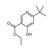 ethyl 6-tert-butyl-4-oxo-1H-pyridine-3-carboxylate_134653-98-8