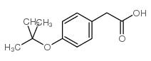 2-[4-[(2-methylpropan-2-yl)oxy]phenyl]acetic acid_135066-21-6