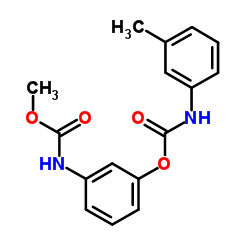3-((Methoxycarbonyl)amino)phenyl m-tolylcarbamate_13684-63-4