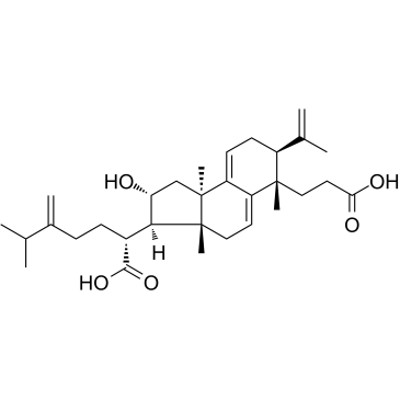Poricoic acid A_137551-38-3