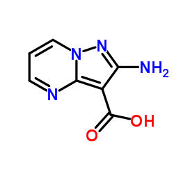 2-aminopyrazolo[1,5-a]pyrimidine-3-carboxylic acid_1394003-86-1