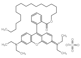 Rhodamine B octadecyl ester perchlorate_142179-00-8