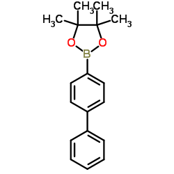 4-biphenylboronic acid, pinacol ester_144432-80-4