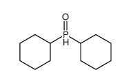 dicyclohexyl(oxo)phosphanium_14717-29-4