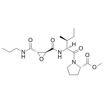 L-trans-Epoxysuccinyl-Ile-Pro-OMe propylamide_147859-80-1