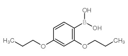 (2,4-dipropoxyphenyl)boronic acid_150145-25-8