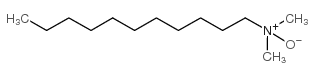 N,N-dimethylundecan-1-amine oxide_15178-71-9