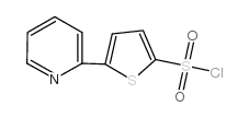 5-(2-pyridyl)thiophene-2-sulfonyl chloride_151858-64-9