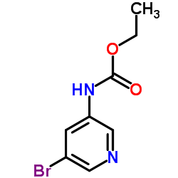 Ethyl (5-bromo-3-pyridinyl)carbamate_152684-24-7