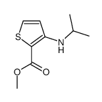 methyl 3-(propan-2-ylamino)thiophene-2-carboxylate_153071-59-1