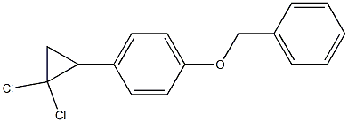 1-(benzyloxy)-4-(2,2-dichlorocyclopropyl)benzene_1594980-18-3