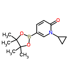 1-Cyclopropyl-6-oxo-1,6-dihydropyridine-3-boronic acid pinacol ester_1596367-55-3