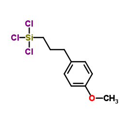 Trichloro[3-(4-methoxyphenyl)propyl]silane_163155-57-5