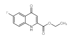 Ethyl 6-fluoro-4-oxo-1,4-dihydroquinoline-2-carboxylate_16377-62-1