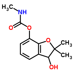 3-Hydroxycarbofuran_16655-82-6