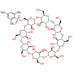 mono-6-o-mesitylenesulfonyl-gamma-cyclodextrin_174010-62-9