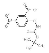 tert-butyl (2,4-dinitrophenoxy)carbamate_17508-16-6