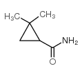 2,2-Dimethylcyclopropanecarboxamide_1759-55-3
