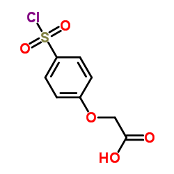 [4-(Chlorosulfonyl)phenoxy]acetic acid_17641-39-3