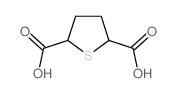 thiolane-2,5-dicarboxylic acid_17773-22-7
