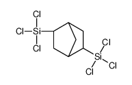trichloro-(2-trichlorosilyl-5-bicyclo[2.2.1]heptanyl)silane_179550-63-1