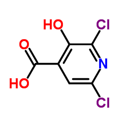 2,6-Dichloro-3-hydroxyisonicotinic acid_185422-96-2