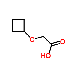 (Cyclobutyloxy)acetic acid_189956-41-0