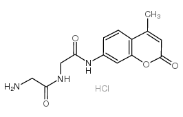 2-amino-N-[2-[(4-methyl-2-oxochromen-7-yl)amino]-2-oxoethyl]acetamide,hydrochloride_191723-65-6