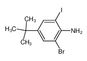 2-bromo-4-tert-butyl-6-iodo-aniline_191983-33-2