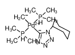 trans-PdMe(PMe3)2(CN4C6H11)_192631-63-3