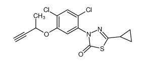 3-(5-(but-3-yn-2-yloxy)-2,4-dichlorophenyl)-5-cyclopropyl-1,3,4-thiadiazol-2(3H)-one_192809-33-9