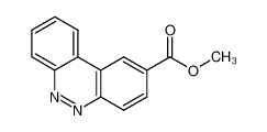 benzo[c]cinnoline-2-carboxylic acid methyl ester_19376-08-0