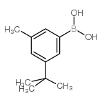 (3-t-butyl-5-methylphenyl)boronic acid_193905-93-0