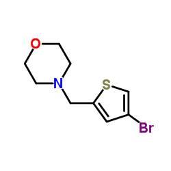 4-[(4-Bromo-2-thienyl)methyl]morpholine_194851-19-9