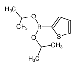 di-isopropyl 2-thienylboronate_195457-64-8