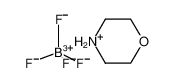 morpholinium tetrafluoroborate_19585-43-4