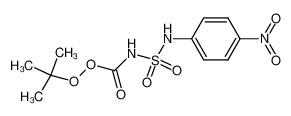 N-(p-Nitroanilinosulfonyl)-peroxycarbamidsaeure-tert.butylester_19619-09-1