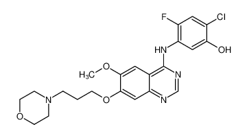 2-chloro-4-fluoro-5-((6-methoxy-7-(3-morpholinopropoxy)quinazolin-4-yl)amino)phenol_196194-01-1
