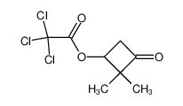 Trichloro-acetic acid 2,2-dimethyl-3-oxo-cyclobutyl ester_19660-03-8