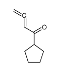 1-Cyclopentyl-buta-2,3-dien-1-one_196952-13-3