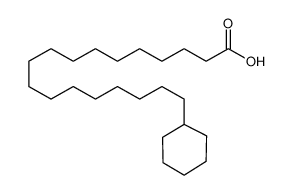 18-CYCLOHEXYLOCTADECANOIC ACID_19708-98-6