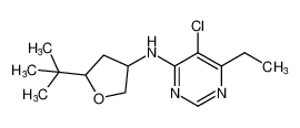 N-(5-(tert-butyl)tetrahydrofuran-3-yl)-5-chloro-6-ethylpyrimidin-4-amine_197781-37-6