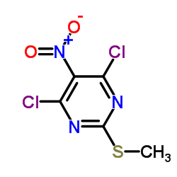 4,6-Dichloro-2-(methylsulfanyl)-5-nitropyrimidine_1979-96-0