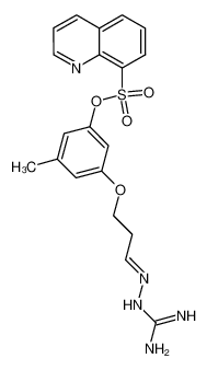 2-[2-[5-methyl-3-(quinolinyl-8-sulfonyloxy)phenoxy]ethyl-1-methylene]-hydrazinecarboximidamide_197958-87-5