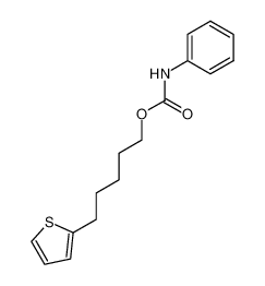 1-phenylcarbamoyloxy-5-thiophen-2-yl-pentane_19806-38-3