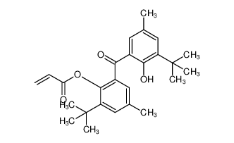 2-(tert-butyl)-6-(3-(tert-butyl)-2-hydroxy-5-methylbenzoyl)-4-methylphenyl acrylate_198412-96-3