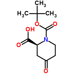 (2S)-N-(Boc)-4-oxopipecolic acid_198646-60-5