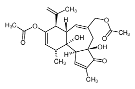 Δ11-Crotophorbolon-enol-11,17-diacetat_19891-16-8