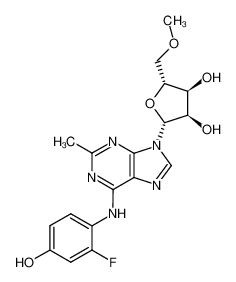 N-(2-Fluoro-4-hydroxy-phenyl)-2-methyl-5'-O-methyl-adenosine_199449-31-5