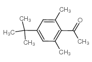 1-(4-tert-butyl-2,6-dimethylphenyl)ethanone_2040-10-0